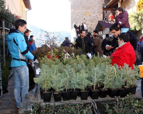 04a98e05-87d3-44c1-9c45-a743a4d4e0c4_alta-libre-aspect-ratio_default_0