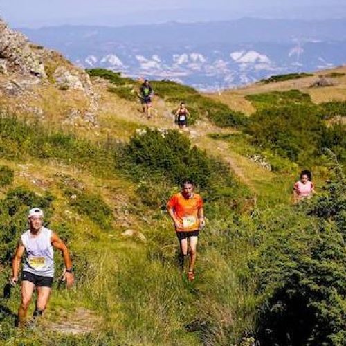 Trail-Les-Fonts-del-Montseny-Sportvicious-2017-e1496777133150-700x350